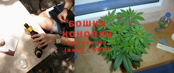 PSILOCYBIN Киренск